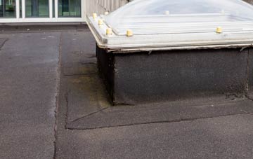 disadvantages of Lobthorpe flat roofs
