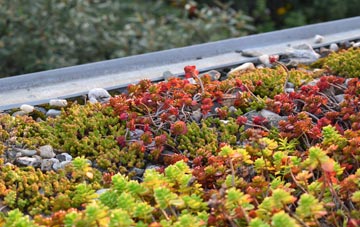 the cost of Lobthorpe green roof installation