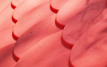 Lobthorpe plastic roof costs