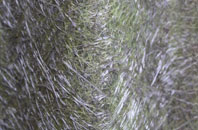 Lobthorpe fibreglass roof work